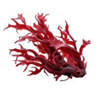 red coral intricate branching structures png