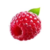 Close up view of a single raspberry fruit png