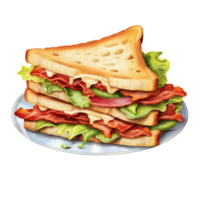 Triple layer swich lettuce tomato bacon png