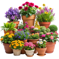 beautiful colourful flowers in the pots is isolated on transparent background png