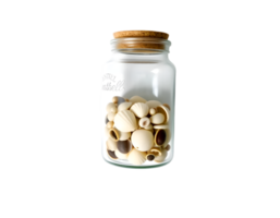 Glass jar with seashells isolated on transparent background png