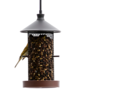 Bird feeder with seeds isolated on transparent background png