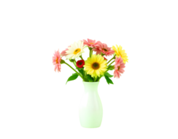 Bouquet of Gerbera flowers in vase isolated on transparent background png