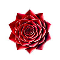 A beautifully detailed red rose with a transparent background, perfect for digital and print projects. png