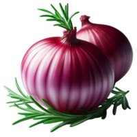 Fresh Red Onion with Rosemary png