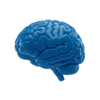 3D render of a blue glass brain with a glossy, reflective surface, isolated on a transparent background, symbolizing intelligence, creativity, and neuroscience png