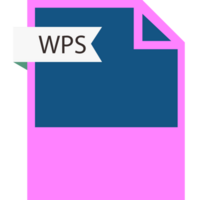 Wps File Format Icon Roe Color Fill png