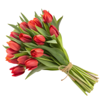 Bright red tulip bouquet for a spring celebration in a sunny setting png