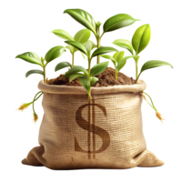 Growing Wealth, Young plants sprout from a money bag, symbolizing financial growth and investment, against an isolated background, creating a powerful visual metaphor for prosperity. png