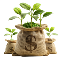 Financial Growth, Seedlings sprout from burlap money bags, symbolizing the growth of investment, set against a simple background, representing financial concepts. png