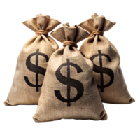 Bags of Money, Close up shot of three burlap sacks, each emblazoned with a prominent dollar sign, suggesting wealth and financial abundance. png