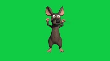 dibujos animados ratón manos arriba aplausos, bailando 3d hacer lazo animación aislado en verde pantalla antecedentes video