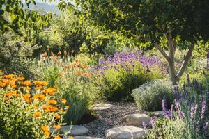 A garden with a path lined with flowers and a tree photo