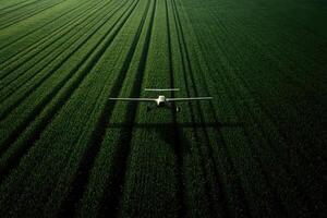 A small plane is flying over a field of green grass photo