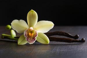 A flower with a brown stem and a brown leaf is on a table photo