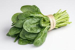 A bunch of fresh spinach is tied together with a string photo