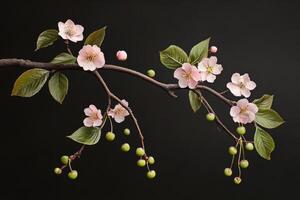 A branch with pink flowers and green leaves photo