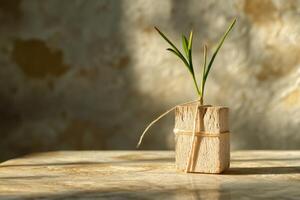 A small plant is growing out of a wooden block photo