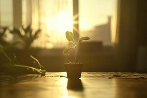 A small plant is sitting in a pot on a table photo