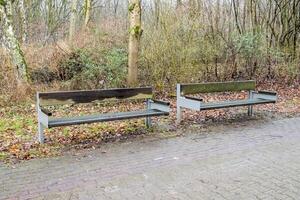 Two empty benches inviting visitors to rest in peaceful park photo