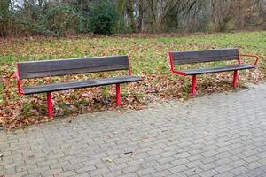Two empty benches standing in a deserted park during autumn photo