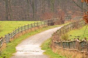 Winding gravel path through green fields bordered by wooden fences in a serene countryside photo