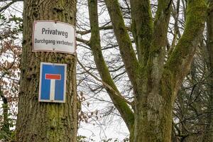 No through road sign and private property sign on tree trunk in forest photo