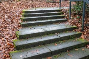 Mossy stone steps covered with fallen autumn leaves in a park photo