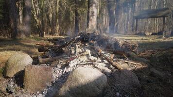 A serene campsite features a charming rustic fire pit surrounded by lush trees and natural elements video