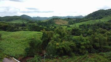 hill view on a rural area video