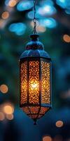 A beautiful lantern hanging from a tree photo