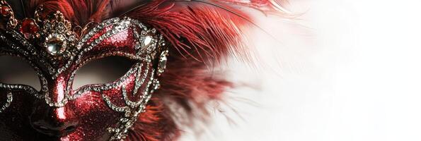 A red and black mask with feathers photo