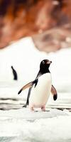Penguin waddles across icy landscape in Antarctica photo