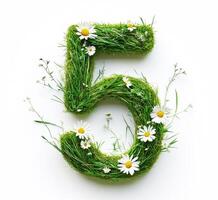 Grass number five with daisies for decoration and nature theme photo