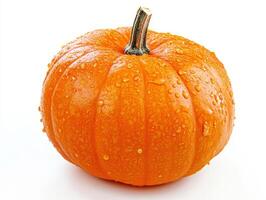 Freshly washed pumpkin with droplets after a rainfall photo
