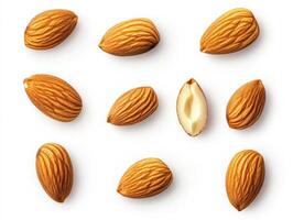 Almonds arranged on a white background showcasing their texture photo