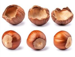 Fresh hazelnuts and shells arranged on a white background photo