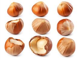 Hazelnuts in various forms displayed on a white background photo