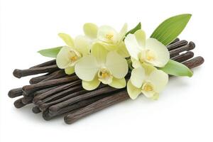 Fresh vanilla pods and yellow orchids arranged beautifully photo