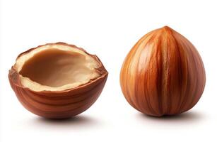 Hazelnuts displayed whole and in shell on white background photo