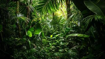 Tropical jungle with green plants and trees photo