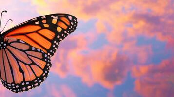 A monarch butterfly is flying in the sky photo