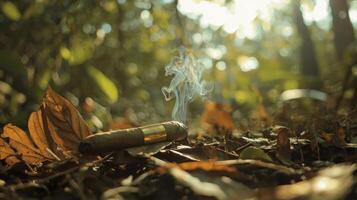 A cigar sitting on the ground in the woods photo
