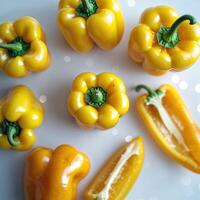 Yellow bell peppers arranged beautifully on a countertop with a soft bokeh background highlighting their vibrant colors photo