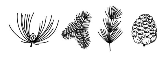 Coniferous branches and pine cone set. Twigs of spruce, fir, cedar with needles and buds. Evergreen forest trees, hand drawn vintage plants. Black and white botanical doodle for cozy decoration vector