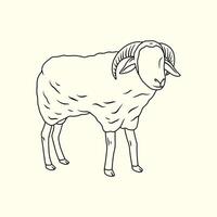 Wooly Sheep with Horns Standing. Thin line illustration. vector