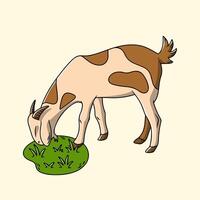 Goats Grazing and Eating Grass in the Field vector