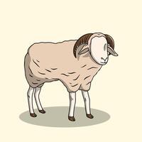 Wooly Sheep with Horns Standing vector