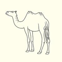 Adorable camel with two humps. Thin line illustration vector