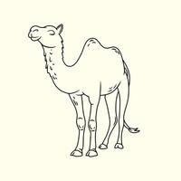 Adorable camel with two humps Thin line illustration vector